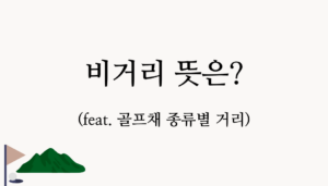 비거리 뜻은? (feat. 골프채 종류별 거리)